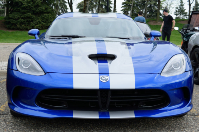 BW VIPER GTS_1_01